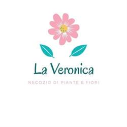 LA VERONICA di Montagnino Giovanni