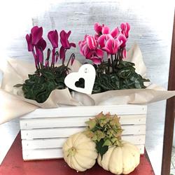 I Fiori della Sorgiva