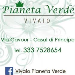 Vivaio Pianeta Verde