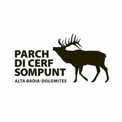 Parco Cervi Sompunt - Alta Badia