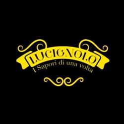 Lucignolo
