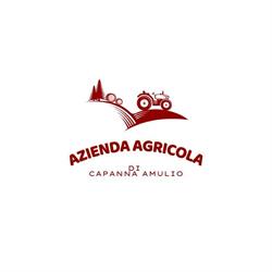 La Capanna di Amulio