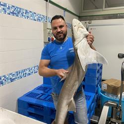 Pescheria la Perla di Manfredonia da Lino e Melania