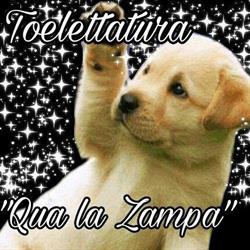 Qua la zampa