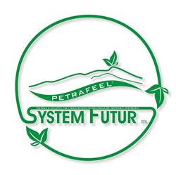 System Futur s.r.l.