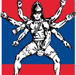 Muay Thai Bergamo Team Fassina