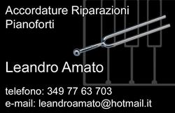 Accordature Riparazioni Pianoforti Campania - Leandro Amato Accordatore
