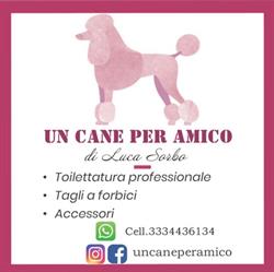 Un cane per amico di Luca Sorbo