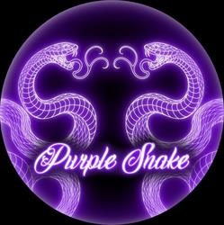 Purple Snake tattoo studio di Sara Mulfati