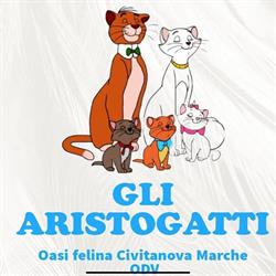 Oasi Felina Gli Aristogatti