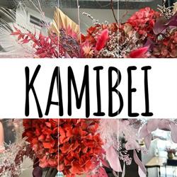 kamibei parrucchieri