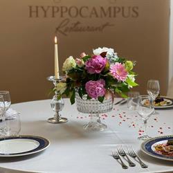 Hyppocampus Restaurant
