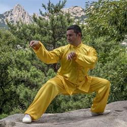 A.s.d. Gong fu Tortoreto