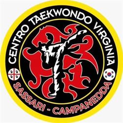 Centro taekwondo Virginia