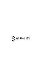 Animus Car Custom