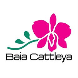 Baia Cattleya