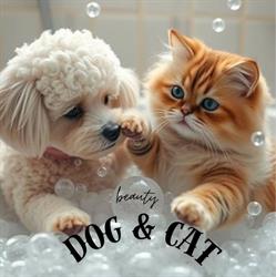 Beauty Dog And Cat