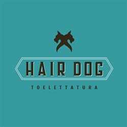 Hair dog toelettatura