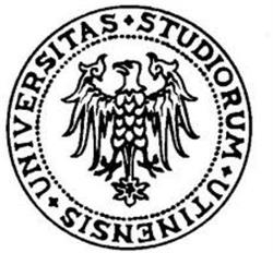 Università degli Studi di Udine
