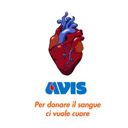 Avis Comunale Meolo