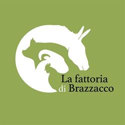 Fattoria di Brazzacco