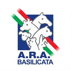 ARA BASILICATA