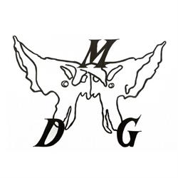 MDG Studio Fisioterapia