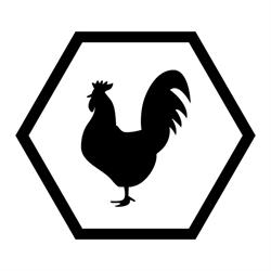 Rooster Streetfood Rotisserie Porto Antico
