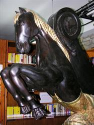 Biblioteca comunale di Villanovaforru