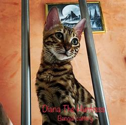 Allevamento Diana The Huntress
