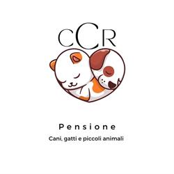 Centro cinofilo Rieti - pensione