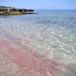 Noleggio Porto Pino