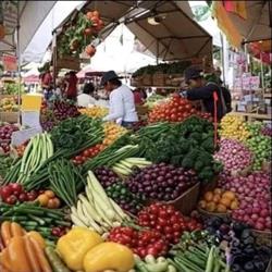 LAFRUTTERIA DEL POPOLO