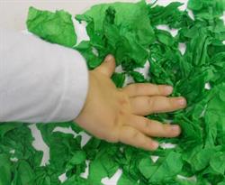 Scuola dell'infanzia e nido "Aimone Landini"
