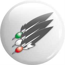 GRUPPO ALPINI SARONNO