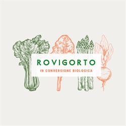 Rovigorto