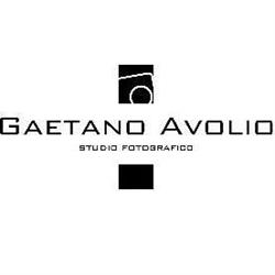 Gaetano Avolio