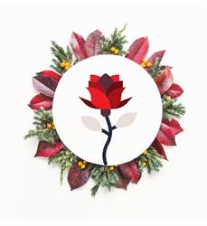 PALOCCO FIORI