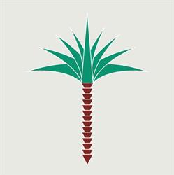 Palma