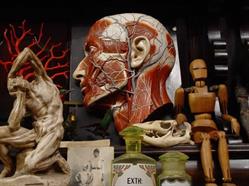 Nautilus Antiques