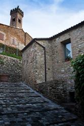 Casa del Calycanto