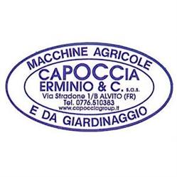 Capoccia Group