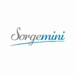 Sorgemini Trattamento Acque