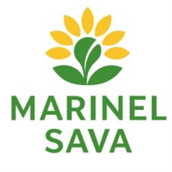 Marinel Sava