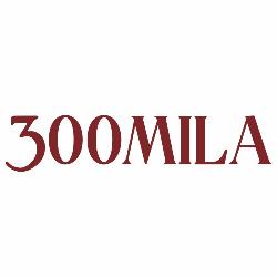 Bar 300mila