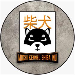 MOCHI SHIBA INU