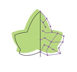 EDERA - Emporio di Comunità Trento
