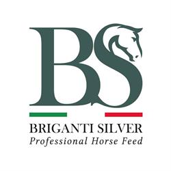 Briganti srl