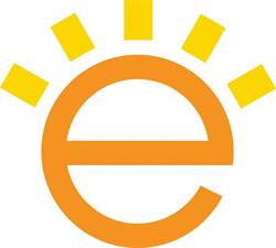 ELETTROECOLOGY SERVICE SRL