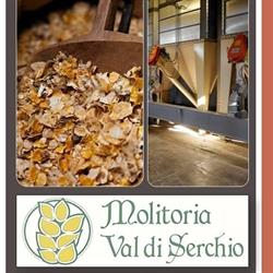 Molitoria Val Di Serchio Srl